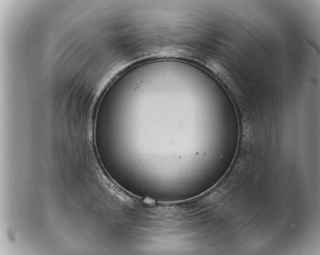 X0000102041232200807251407