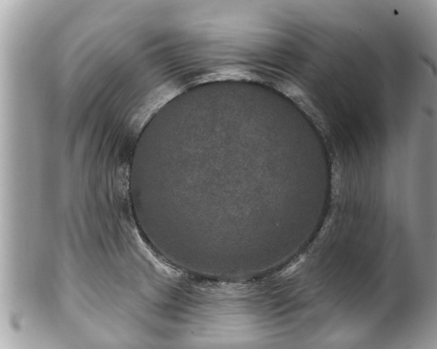 X0000102041233200807251407