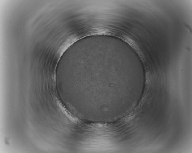 X0000102041234200807251407