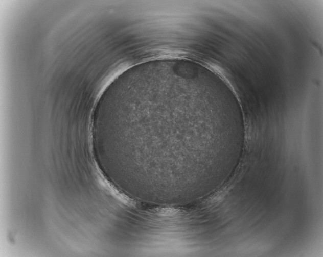 X0000102041235200807251407