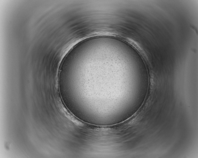 X0000102041236200807251407