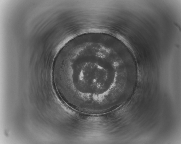 X0000102041237200807251407