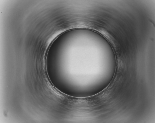 X0000102041238200807251407