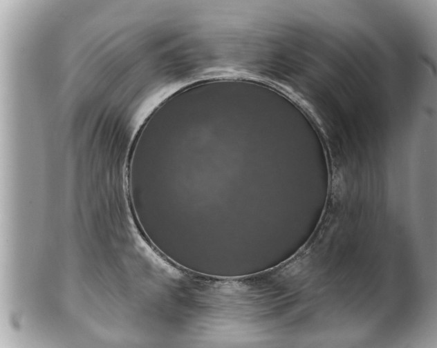 X0000102041239200807251407