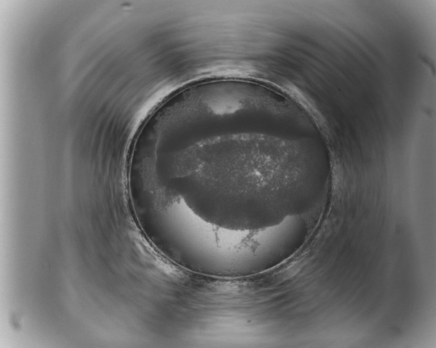 X0000102041240200807251407