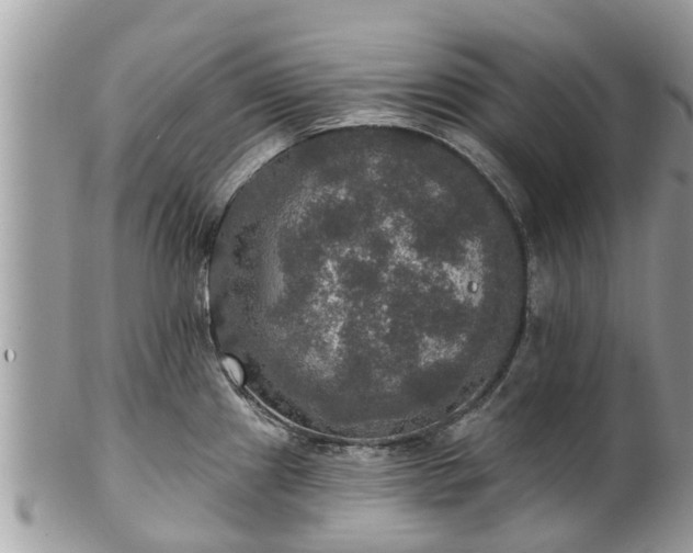 X0000102041241200807251407