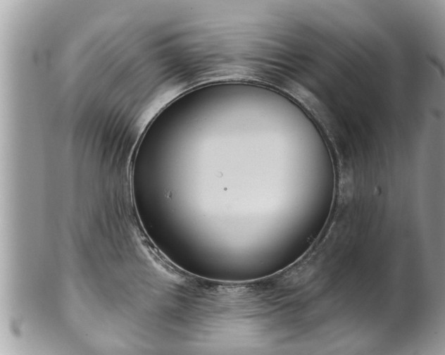 X0000102041242200807251407