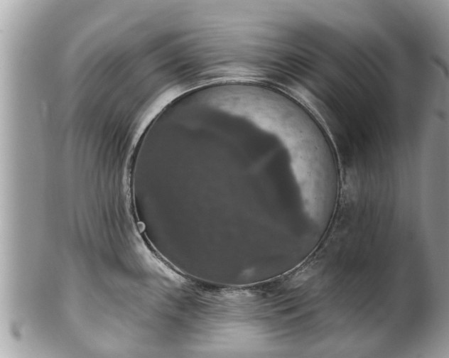 X0000102041243200807251407