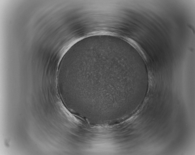 X0000102041244200807251407