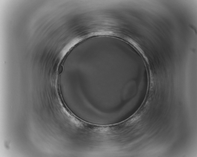 X0000102041245200807251407