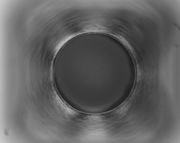 X0000102041246200807251407