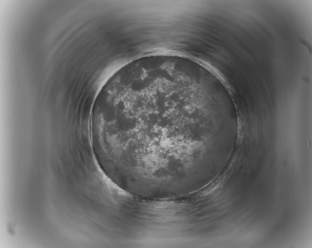 X0000102041247200807251407