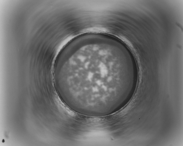 X0000102041248200807251407