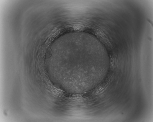 X0000102041249200807251406