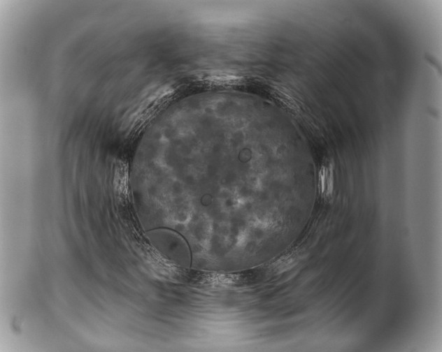 X0000102041251200807251406