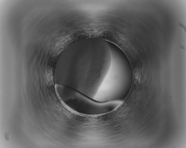 X0000102041252200807251406