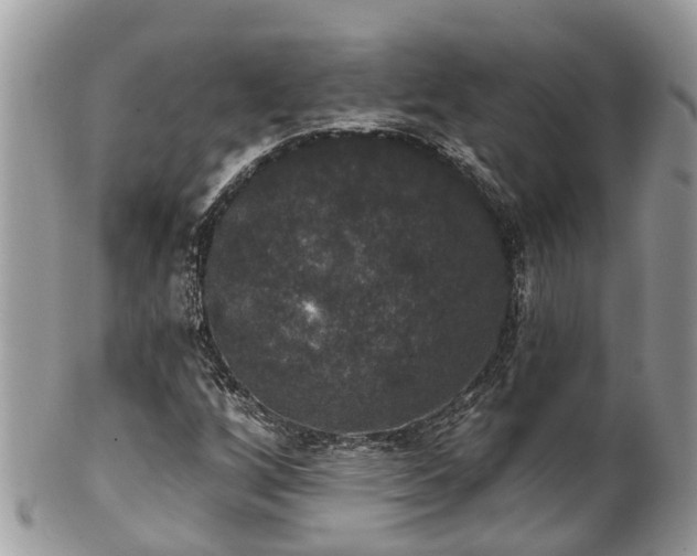 X0000102041256200807251406