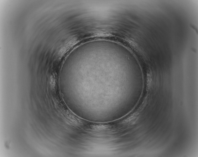 X0000102041257200807251406