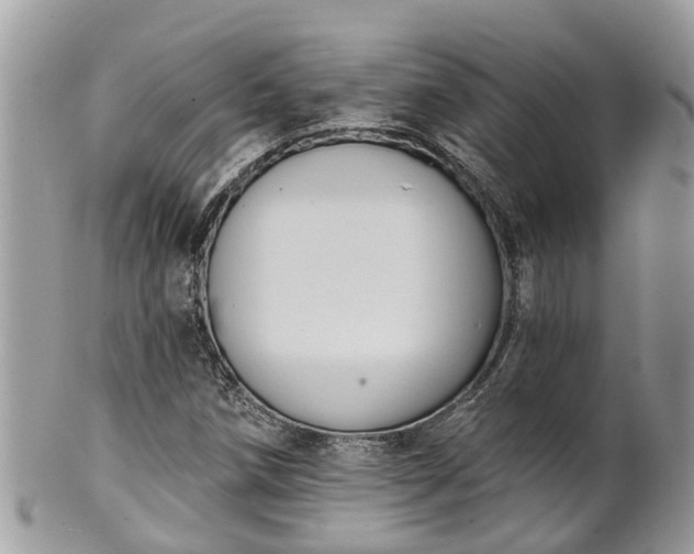 X0000102041258200807251406