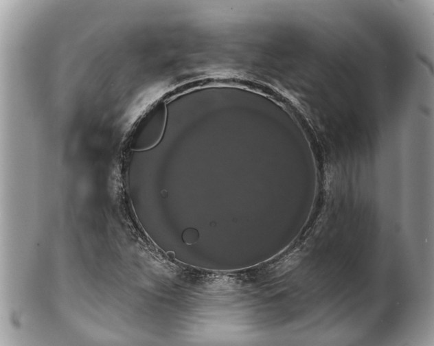 X0000102041263200807251406