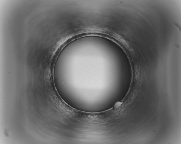 X0000102041264200807251406