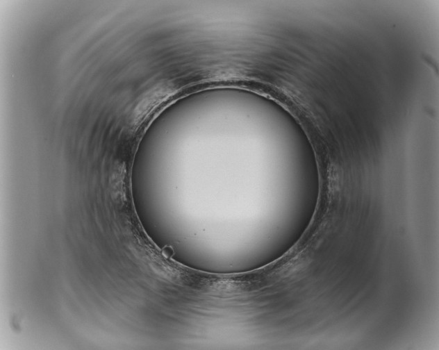 X0000102041265200807251406