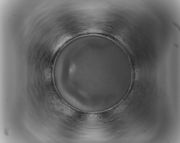 X0000102041266200807251406