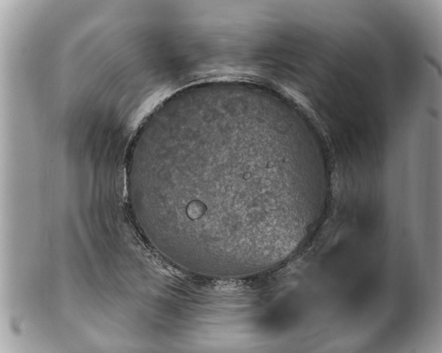 X0000102041267200807251406