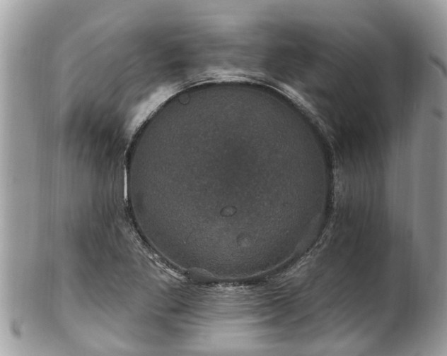 X0000102041269200807251406