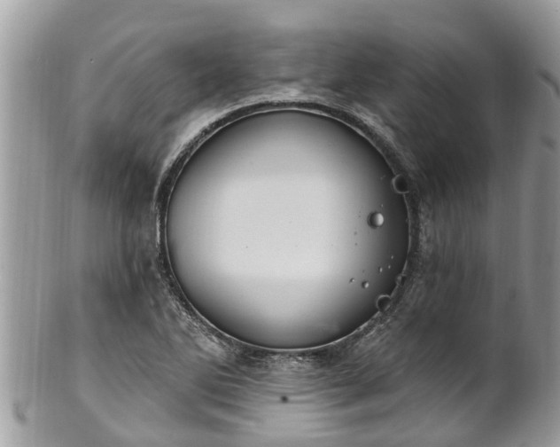 X0000102041270200807251406