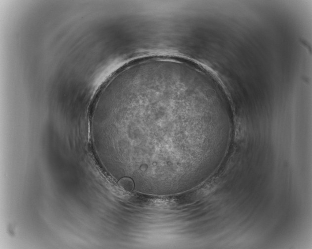 X0000102041271200807251406