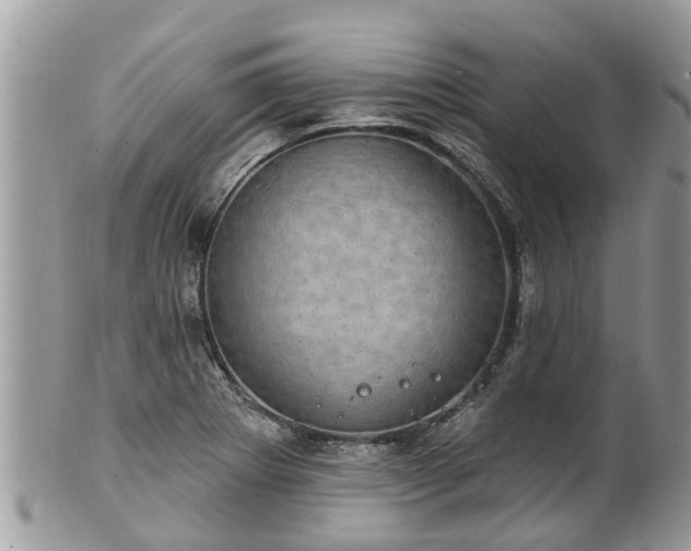 X0000102041273200807251406