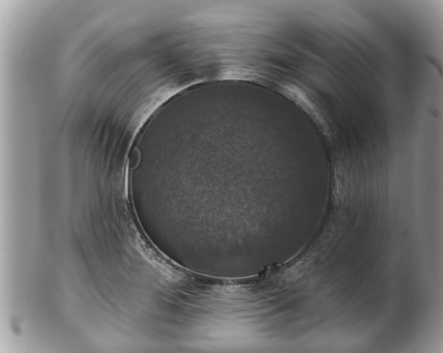 X0000102041276200807251406