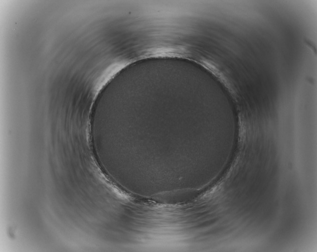 X0000102041277200807251406