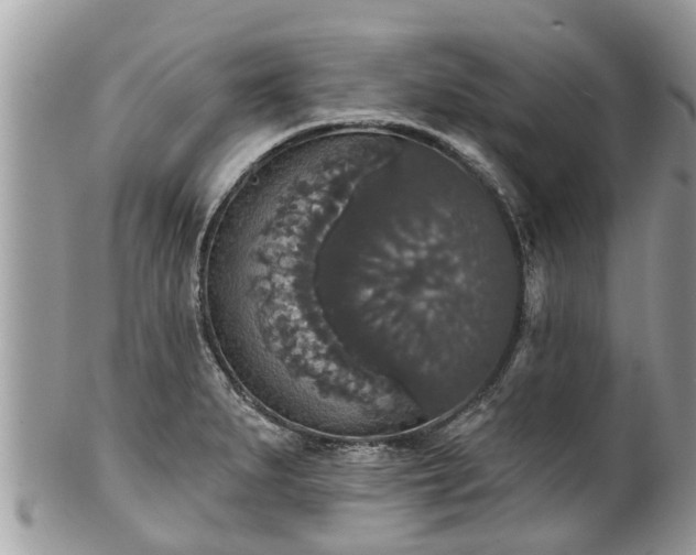 X0000102041279200807251406