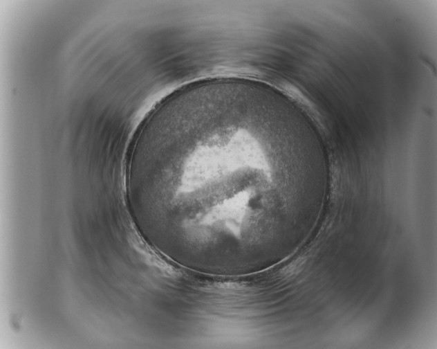 X0000102041280200807251406