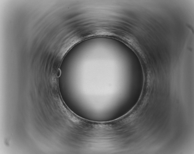 X0000102041281200807251406