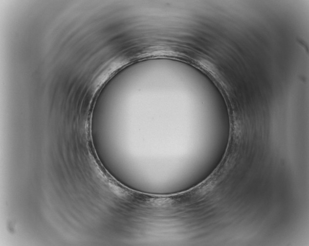 X0000102041282200807251406