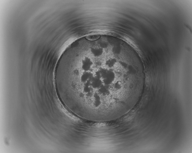 X0000102041283200807251406