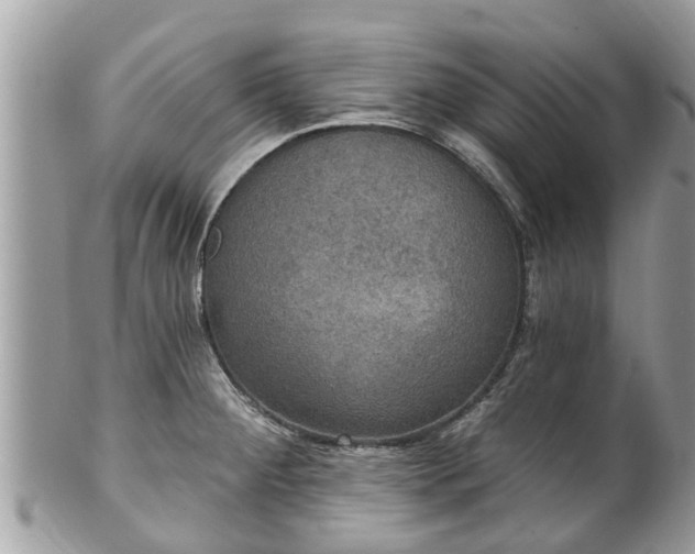 X0000102041284200807251406