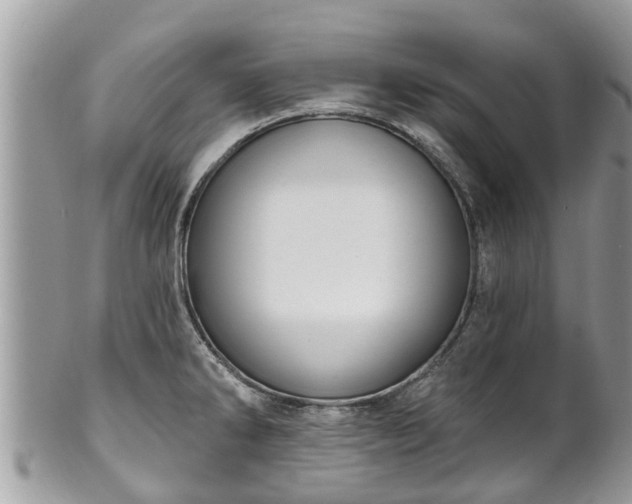 X0000102041286200807251406