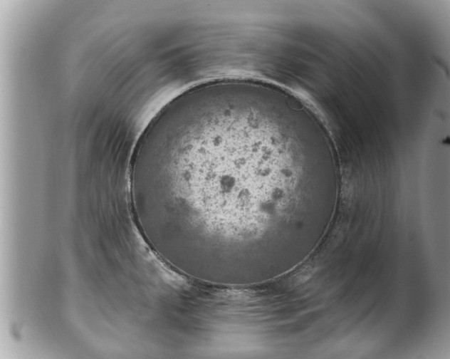 X0000102041287200807251406