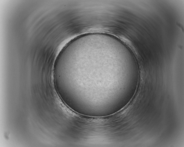 X0000102041288200807251406