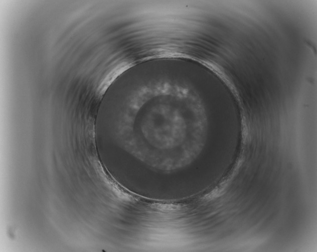 X0000102041289200807251406