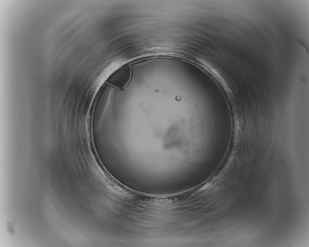 X0000102041291200807251406