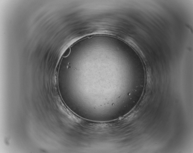 X0000102041292200807251405