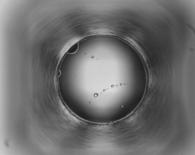 X0000102041293200807251405