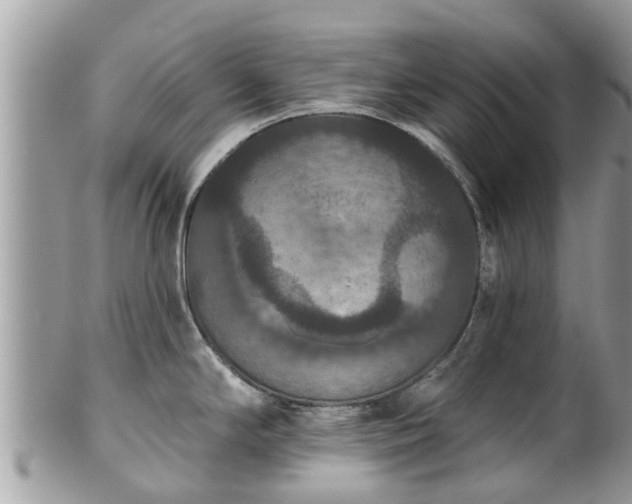 X0000102041294200807251405