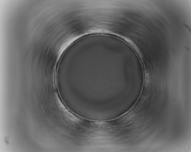 X0000102041295200807251405