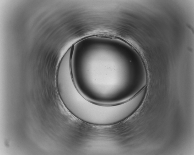 X0000102041296200807251405